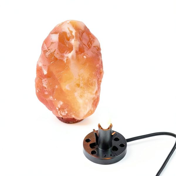 15W Salt Lamp Bulb 6-Pack with Dimmer Switch - OHLGT Classic-5