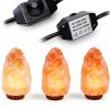 15W Salt Lamp Bulb 6-Pack with Dimmer Switch - OHLGT Classic-1
