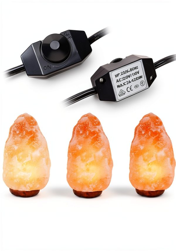 15W Salt Lamp Bulb 6-Pack with Dimmer Switch - OHLGT Classic-1